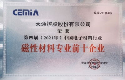 2021年中國(guó)電子材料行業(yè)磁性材料專業(yè)前十